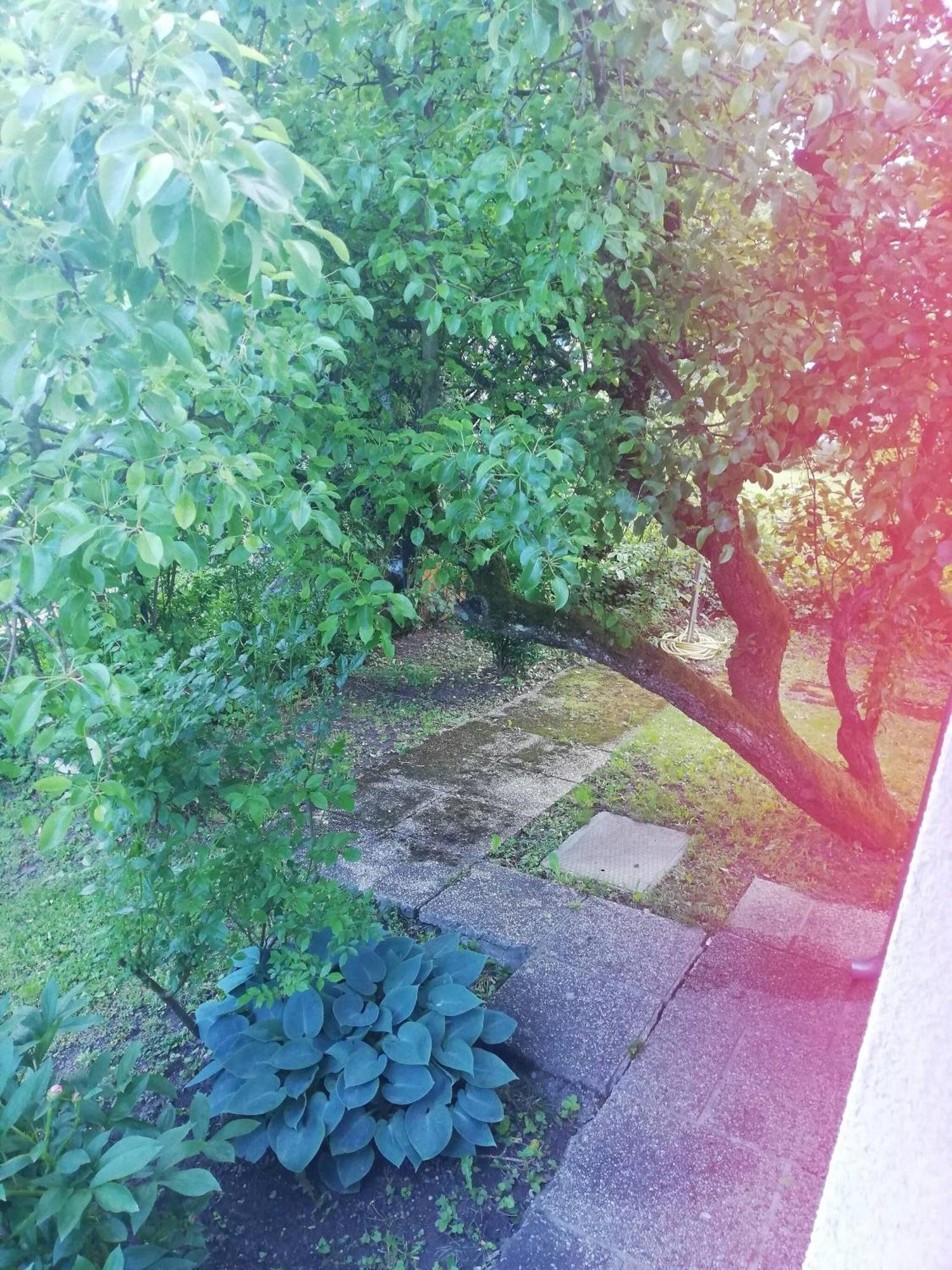In House - Charming Retreat With Garden Metro Access Gasthof Wien
