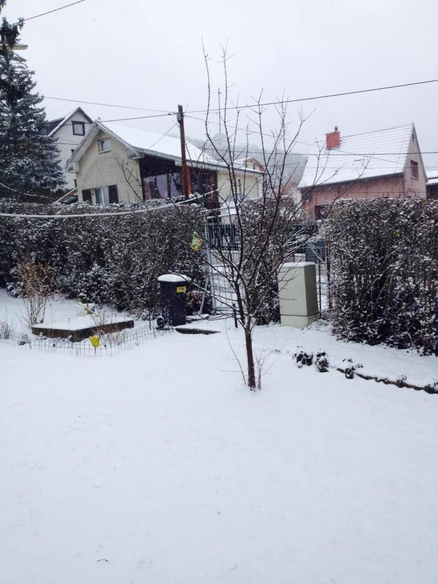 In House - Charming Retreat With Garden Metro Access Wien