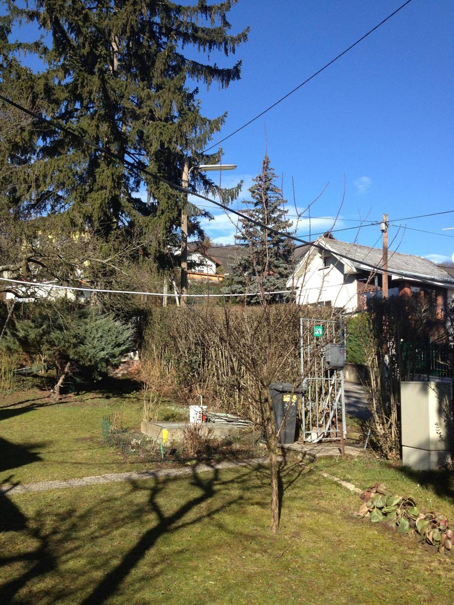 In House - Charming Retreat With Garden Metro Access *
